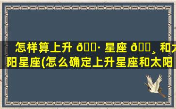 怎样算上升 🕷 星座 🕸 和太阳星座(怎么确定上升星座和太阳星座)